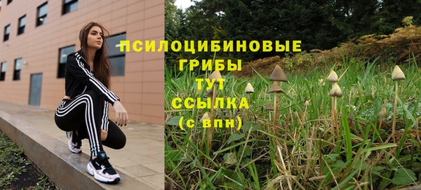 стафф Михайлов