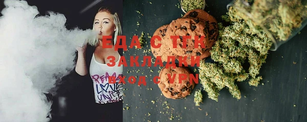 шишки Няндома
