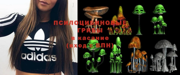 мдма Михайловск