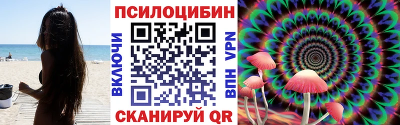 omg ссылки  где продают наркотики  Киселёвск  Галлюциногенные грибы мицелий 
